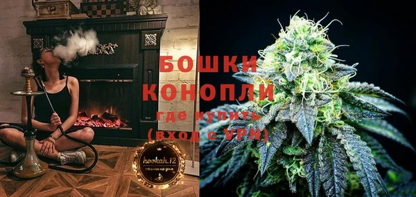 дурь Богданович