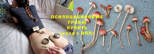 ПСИЛОЦИБИНОВЫЕ ГРИБЫ Богородицк