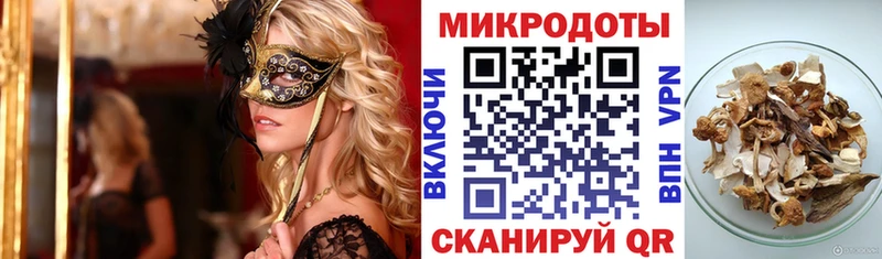 Галлюциногенные грибы прущие грибы  Купить где  Гай 